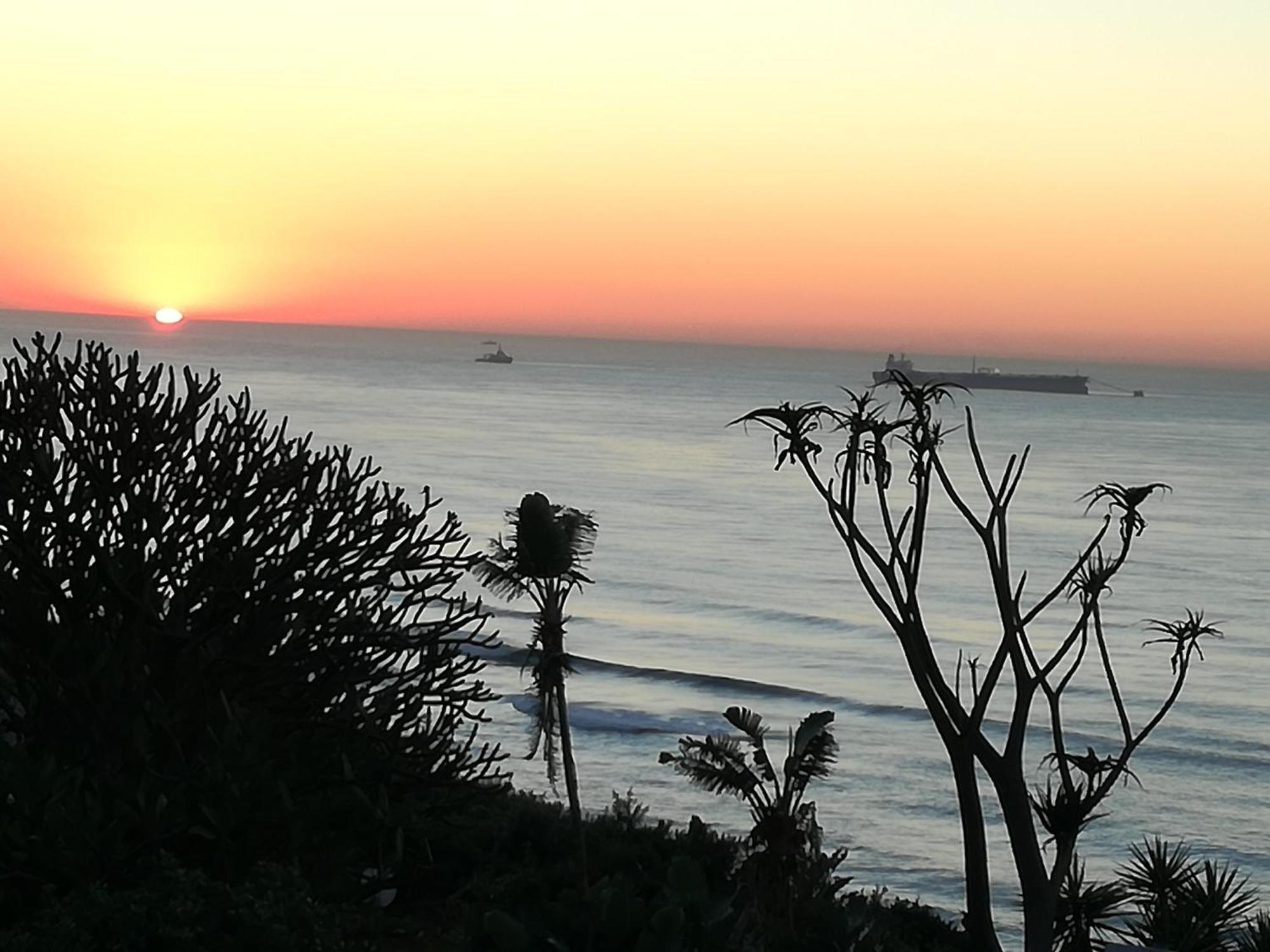 Dolphin Point B&B Durban Kültér fotó